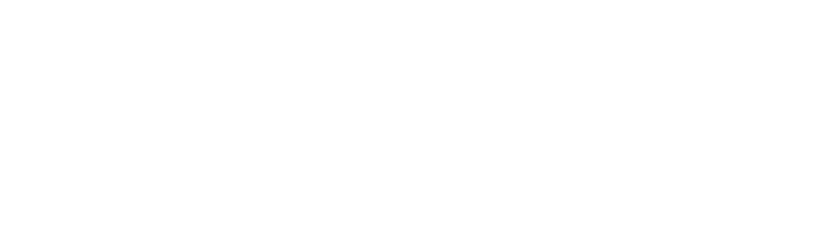 X5 Group